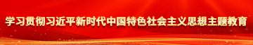 日逼236免费学习贯彻习近平新时代中国特色社会主义思想主题教育